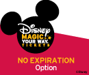 Disney Base No Expiration Ticket