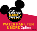 Disney Waterpark Fun and More Ticket