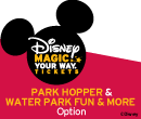 Disney Premium Ticket
